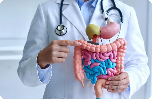Medical Gastroenterology